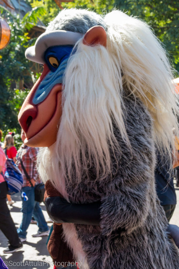 , Disneyland Photo Update: Halloween Crowd Crush & Splash in the Dark