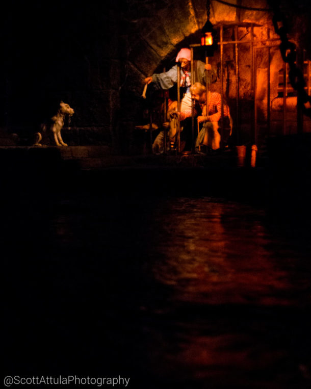 , Disneyland Photo Update: Halloween Crowd Crush & Splash in the Dark