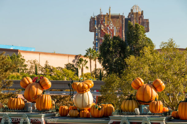 , Disneyland Photo Update: Halloween Crowd Crush & Splash in the Dark