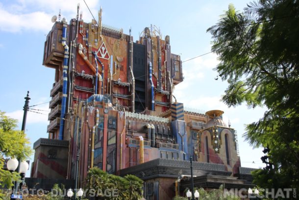 , DCA Photo Update &#8211; Cuckoo for Coco