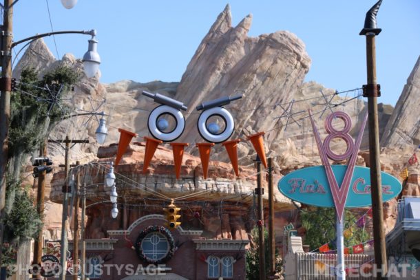 , DCA Photo Update &#8211; Cuckoo for Coco