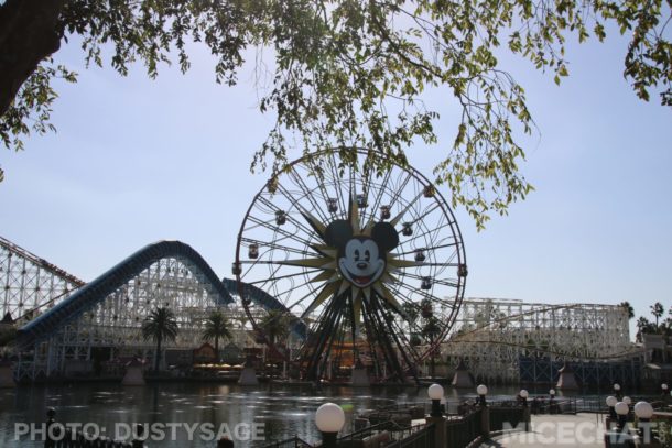 , DCA Photo Update &#8211; Cuckoo for Coco