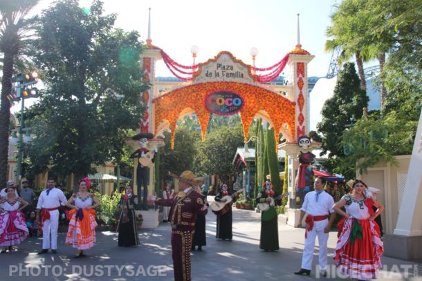 , DCA Photo Update &#8211; Cuckoo for Coco