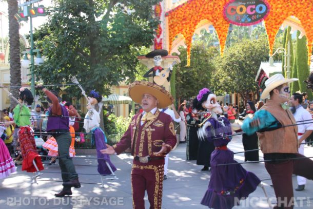 , DCA Photo Update &#8211; Cuckoo for Coco