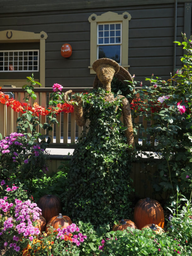 , Lucky 13 at Winchester Mystery House