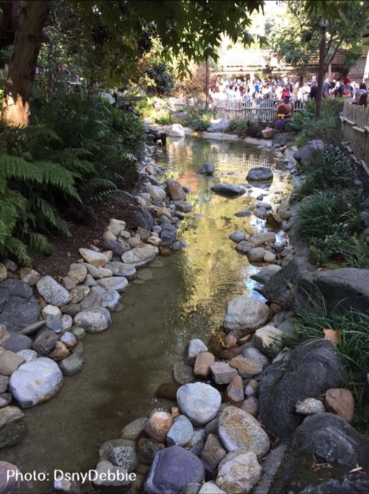 , Disneyland Photo Update: Halloween Crowd Crush & Splash in the Dark