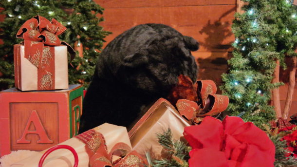 , Christmas at Knott’s Merry Farm