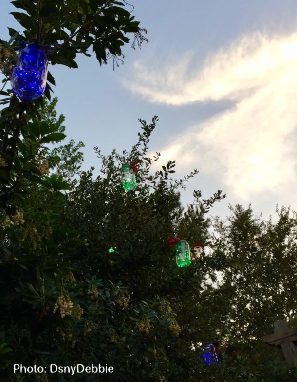 , Disneyland Update – Candlelight Warms The Night