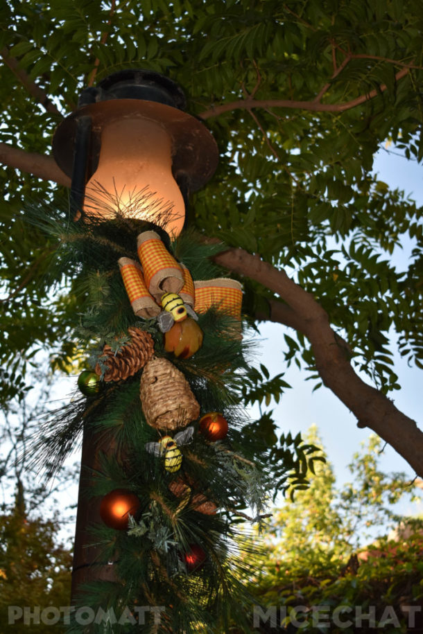 , Disneyland Update &#8211; It&#8217;s Beginning To Look A Lot Like Christmas!