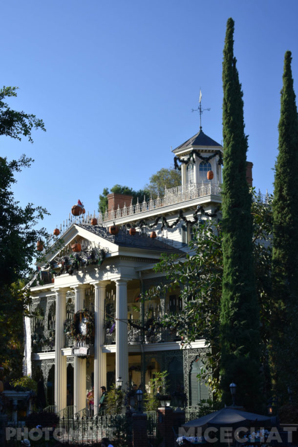 , Disneyland Update &#8211; It&#8217;s Beginning To Look A Lot Like Christmas!