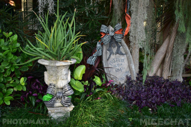 , Disneyland Update – It’s Beginning To Look A Lot Like Christmas!