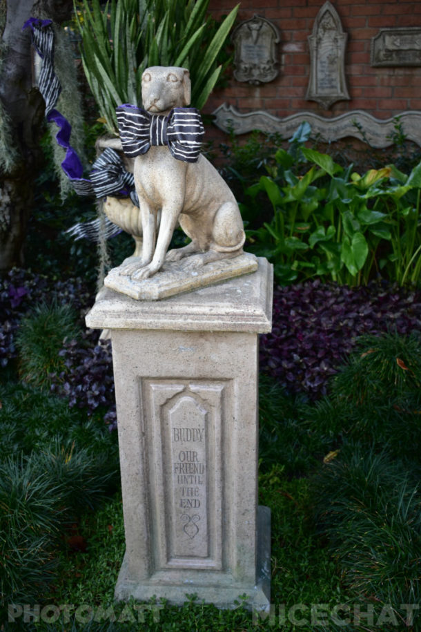 , Disneyland Update – It’s Beginning To Look A Lot Like Christmas!