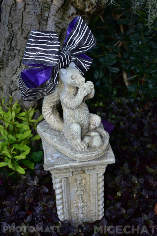 , Disneyland Update – It’s Beginning To Look A Lot Like Christmas!