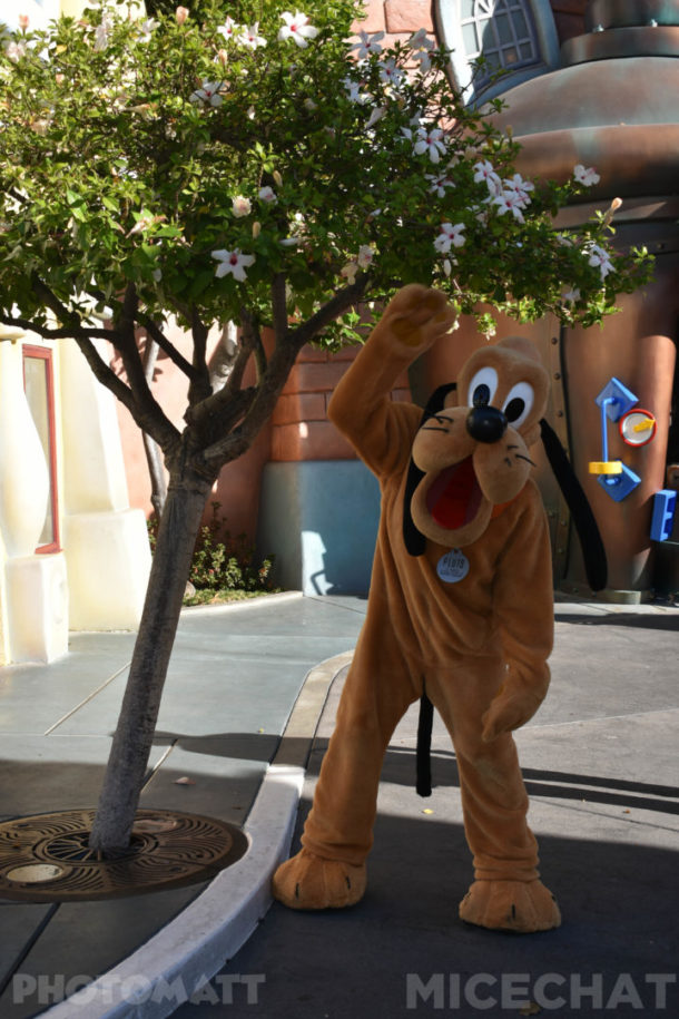 , Disneyland Update – It’s Beginning To Look A Lot Like Christmas!