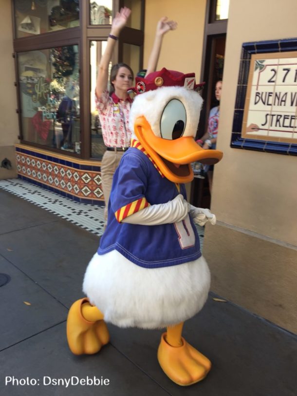 , Disney California Adventure Update – Holiday Preview