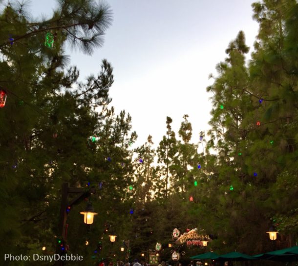 , Disneyland Update – Candlelight Warms The Night