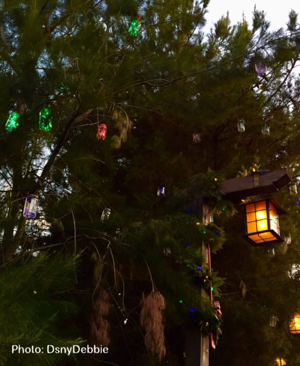 , Disneyland Update – Candlelight Warms The Night