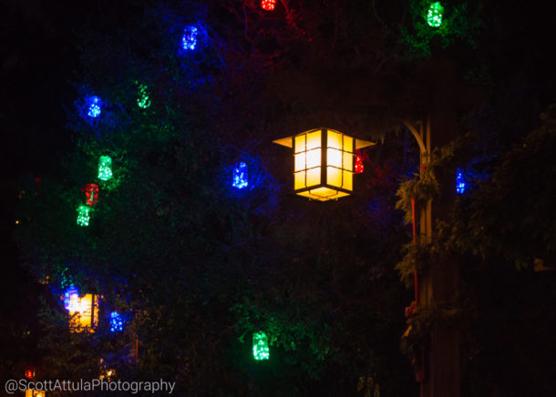 , Holidays Hits and Misses at the Disneyland Resort