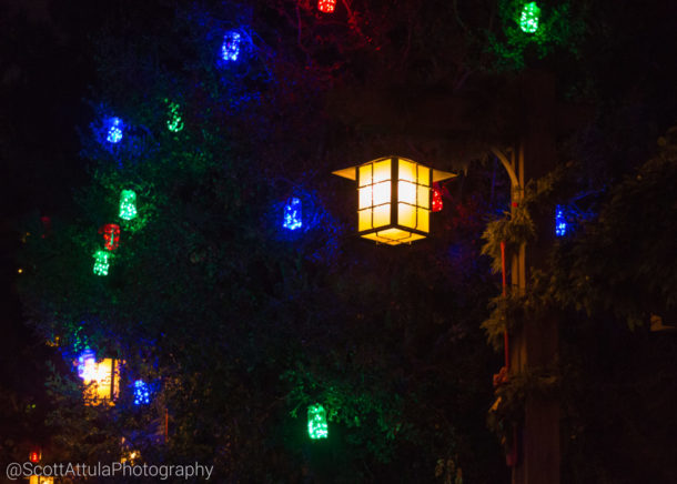 , Disneyland Resort Update – A Legionnaire’s Christmas for Disneyland
