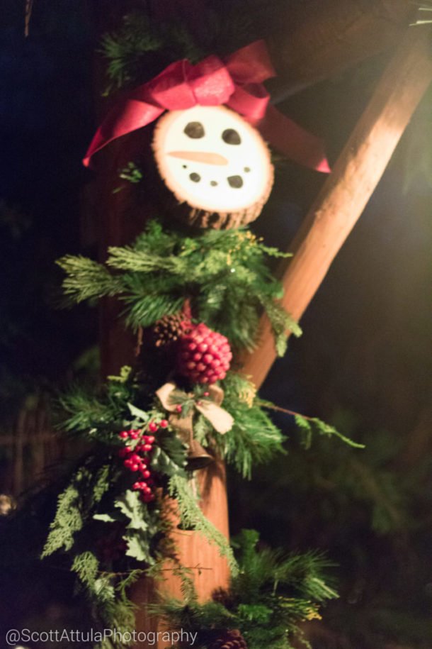 , Disneyland Resort Update – A Legionnaire’s Christmas for Disneyland