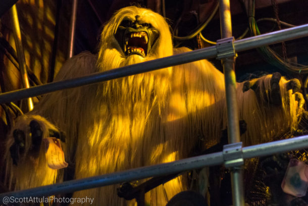 , Disneyland Resort Update – A Legionnaire’s Christmas for Disneyland