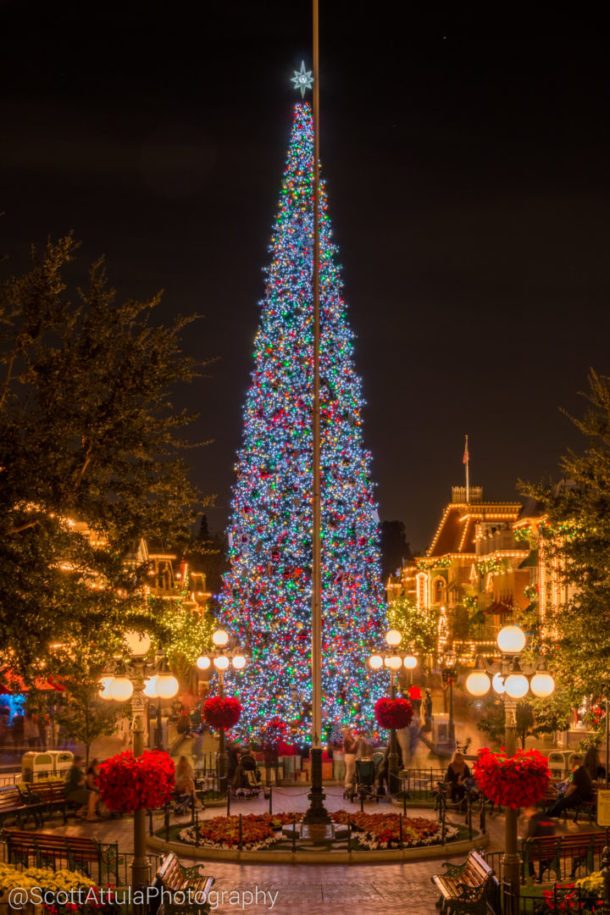 , Disneyland – Ho Ho Holiday Time Photo Update