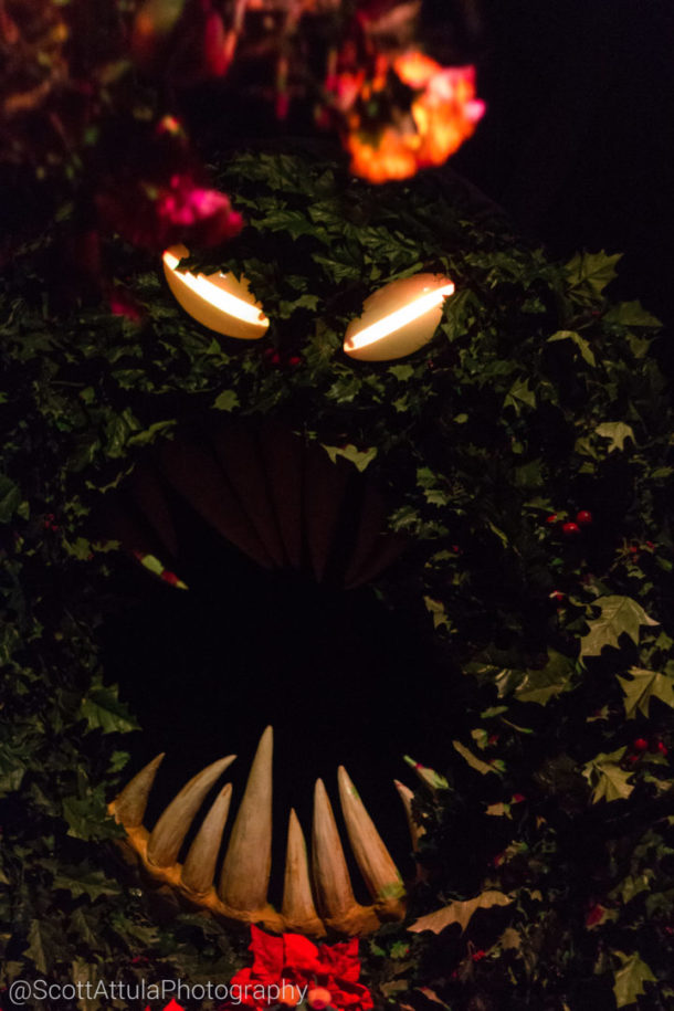 , Disneyland Update: It’s All About The Candy Canes