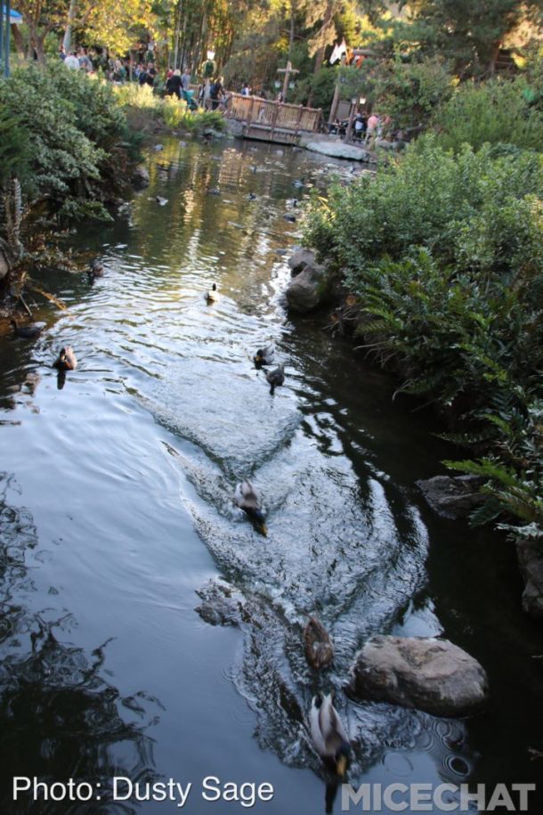 , Disneyland Update – It’s a Jingle Jangle Jedi Christmas