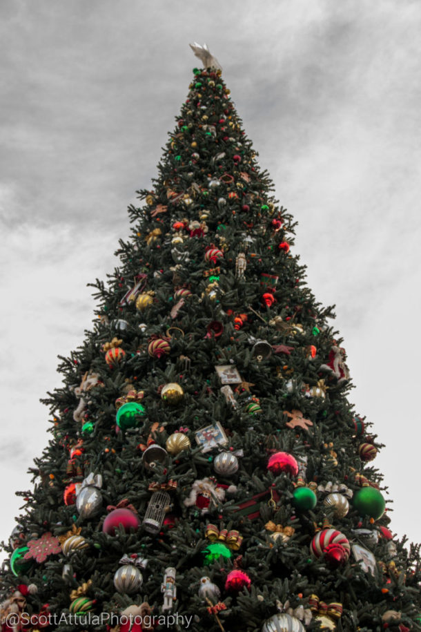 , Disneyland – Ho Ho Holiday Time Photo Update
