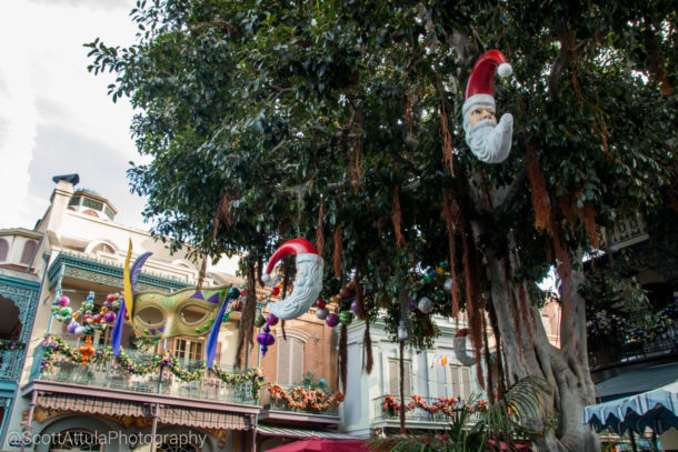 , Disneyland – Ho Ho Holiday Time Photo Update
