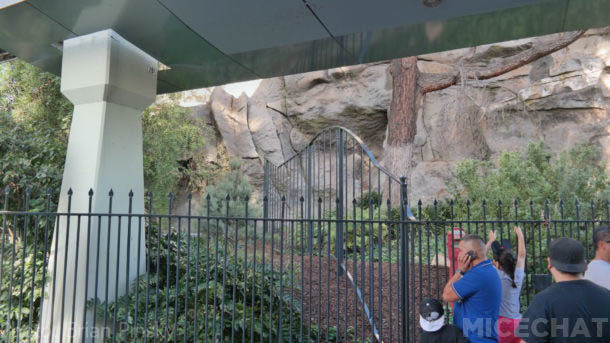 , Disneyland Update – Out Of The Frying Pan Into The Fire