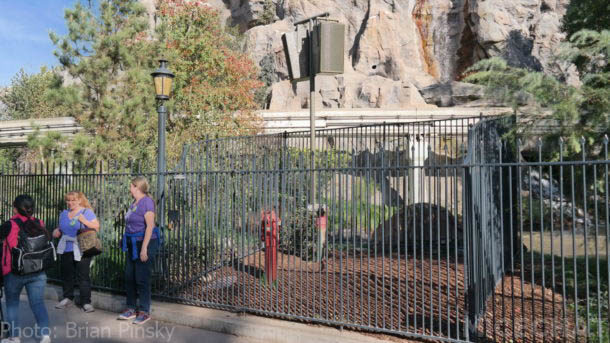 , Disneyland Update – Out Of The Frying Pan Into The Fire