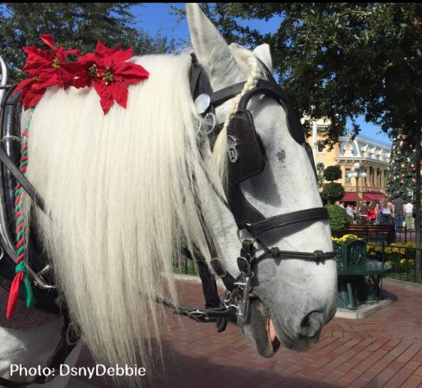 , Disneyland Update: Top 10 Holiday Picks