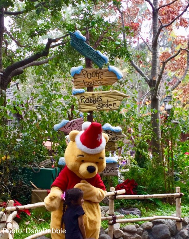, Disneyland Update – Out Of The Frying Pan Into The Fire