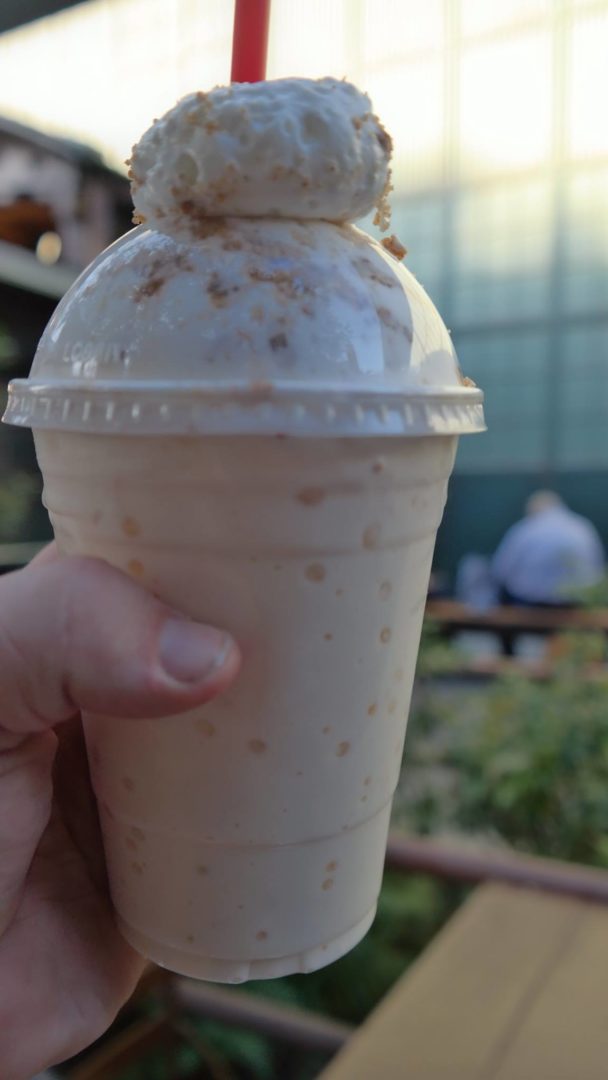 , Disneyland Resort Update – Tis The Season for Crowds and Construction