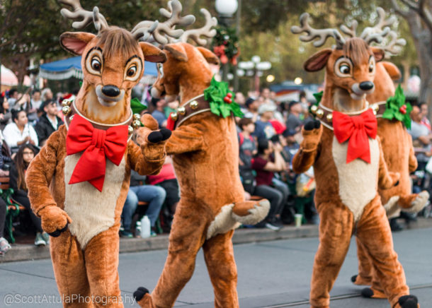 , Disneyland Update – Candlelight Warms The Night
