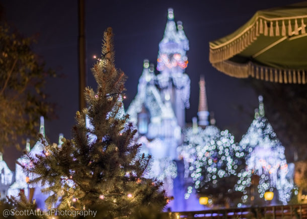 , Disneyland Update – Candlelight Warms The Night