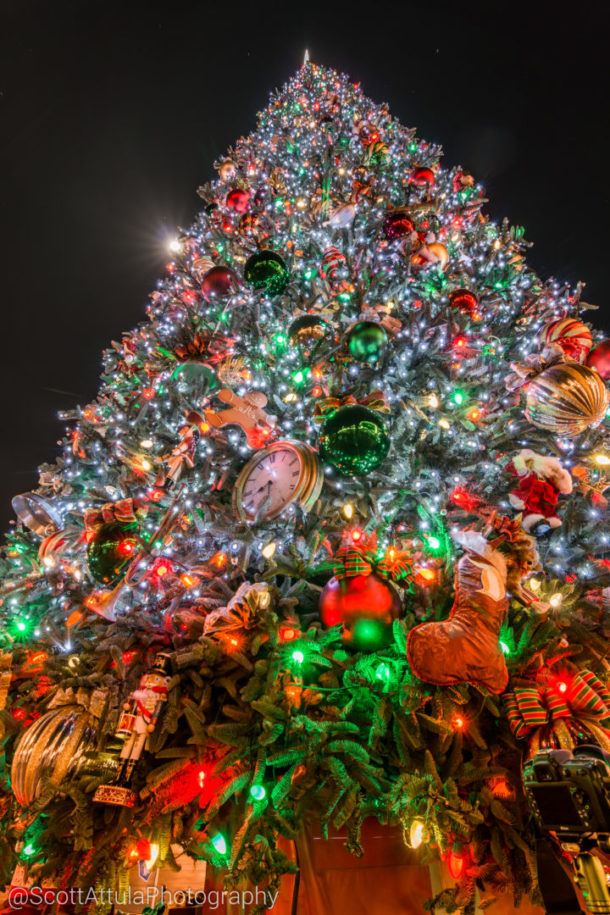 , Disneyland Update – Candlelight Warms The Night
