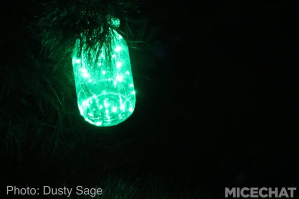 , Disneyland Update – Candlelight Warms The Night