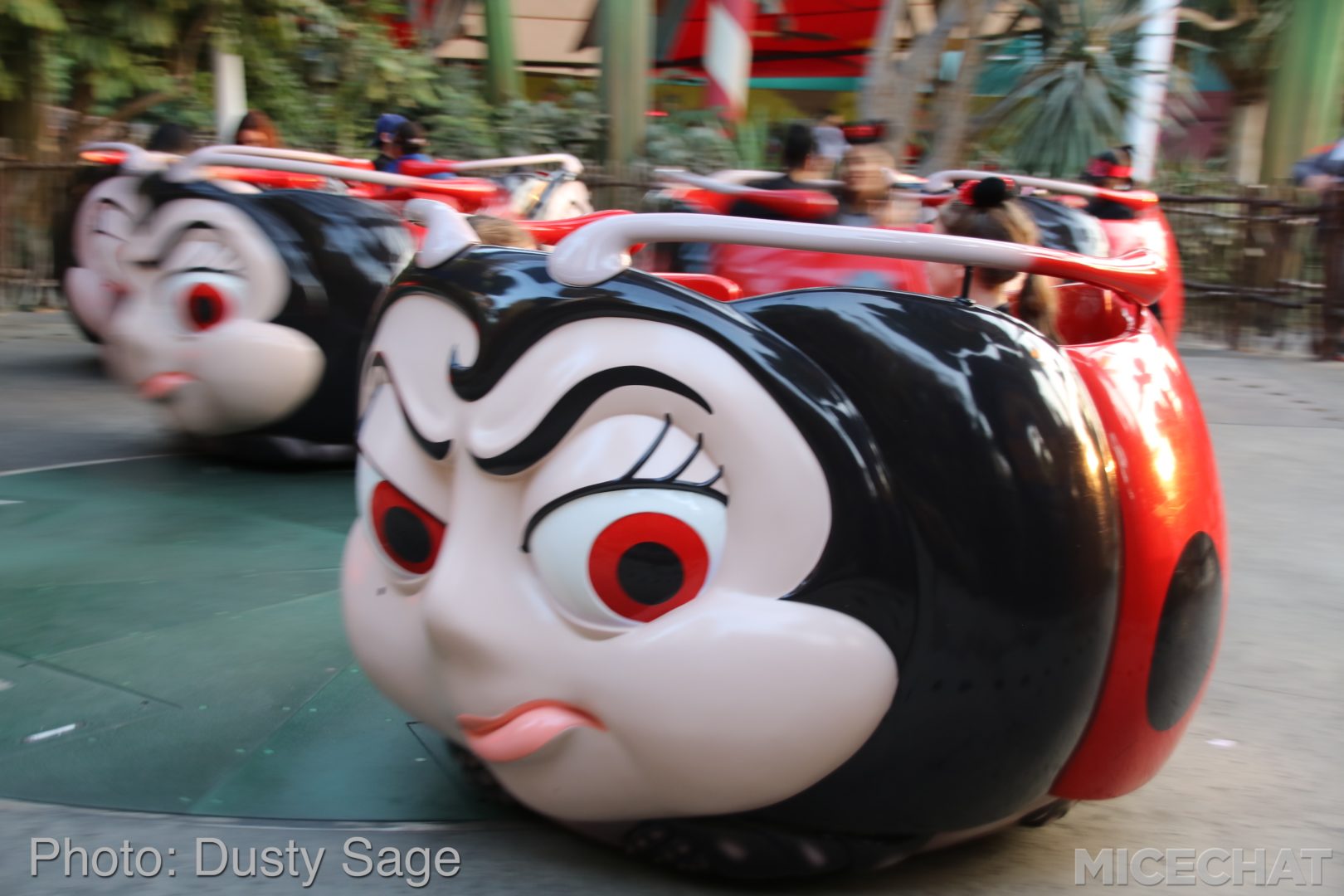 , Disneyland Resort Update – Tis The Season for Crowds and Construction
