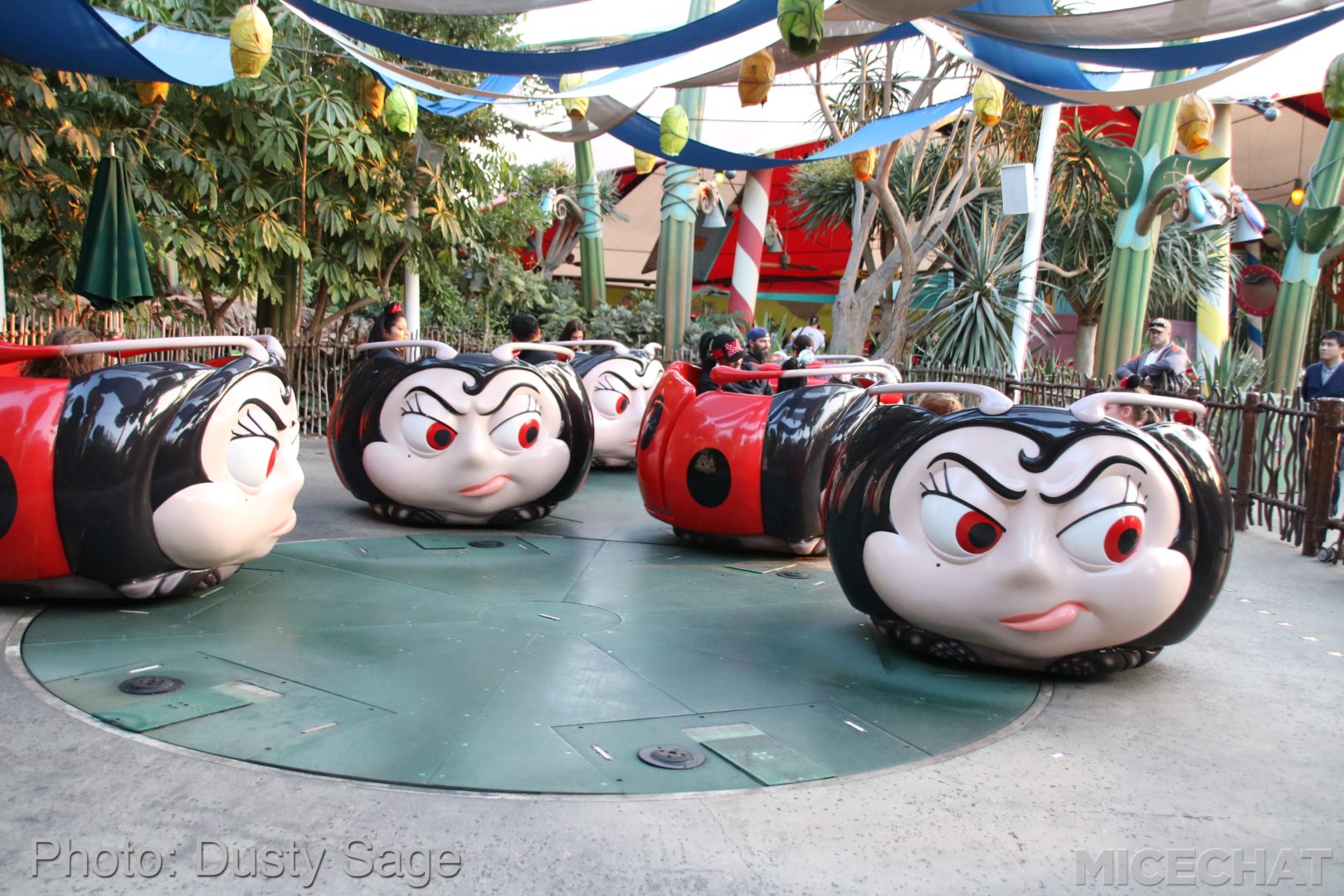 , Disneyland Resort Update – Tis The Season for Crowds and Construction