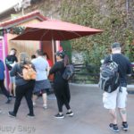 IMG_6624MiceChat-Disneyland-082