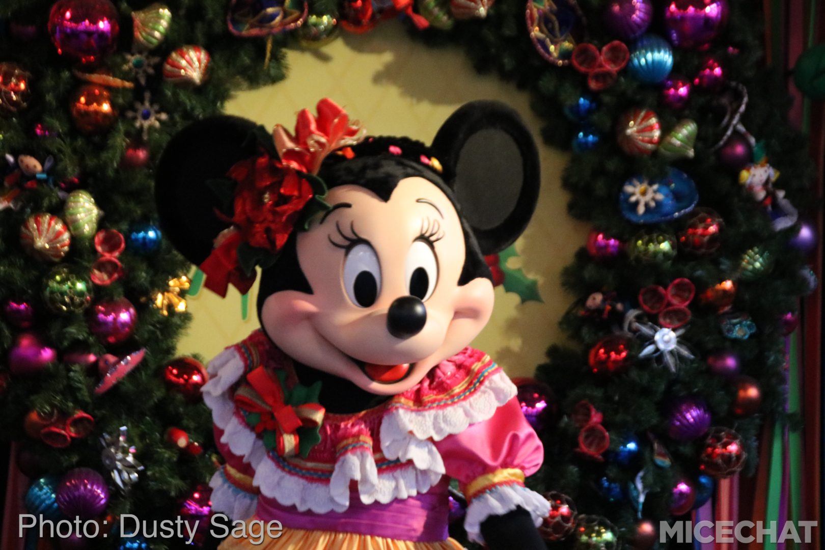 , Disneyland Resort Update – Tis The Season for Crowds and Construction