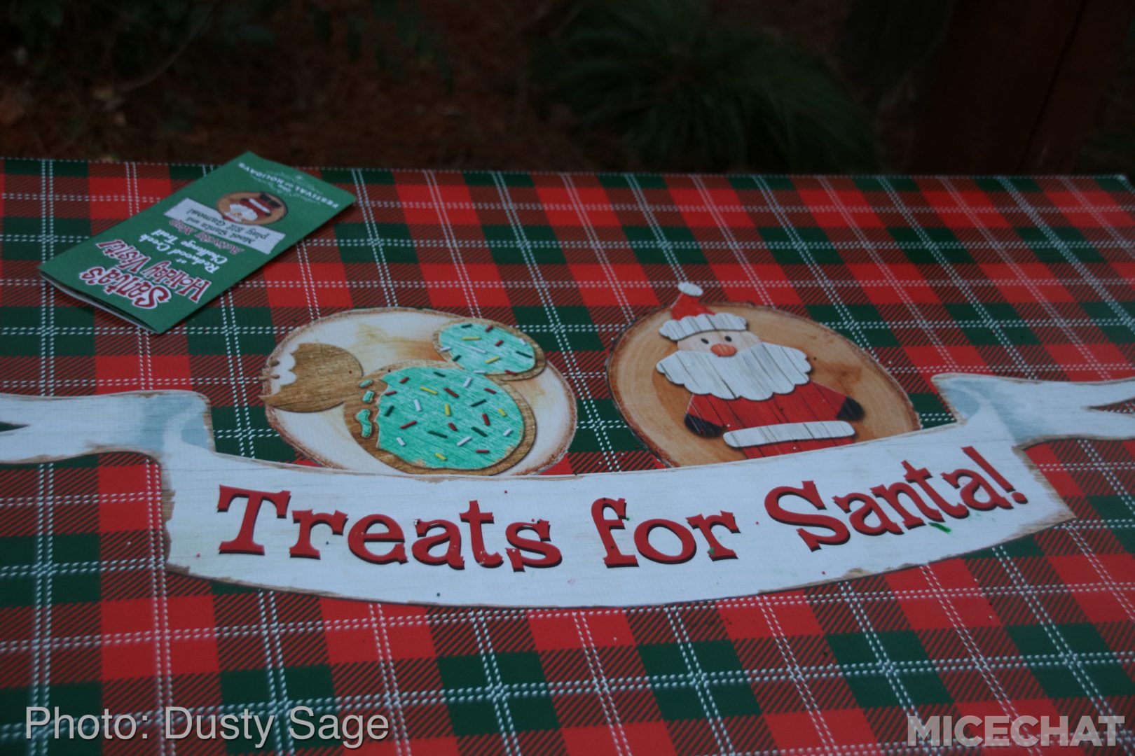 , Disneyland Resort Update – Tis The Season for Crowds and Construction