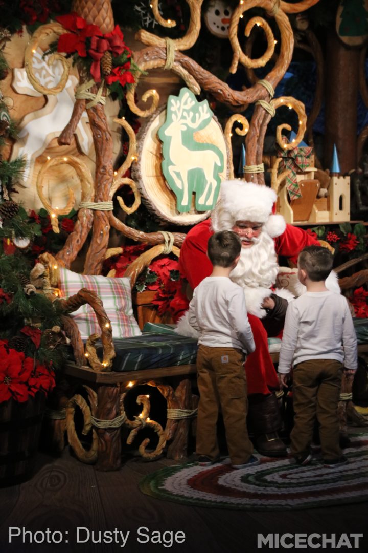 , Disneyland Resort Update – Tis The Season for Crowds and Construction