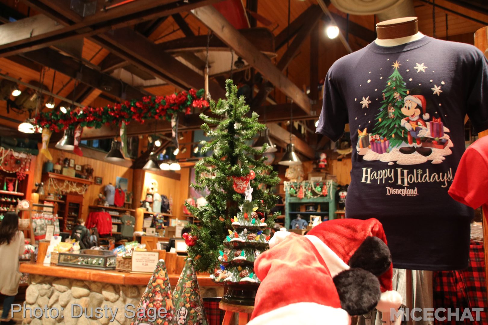 , Disneyland Resort Update – Tis The Season for Crowds and Construction