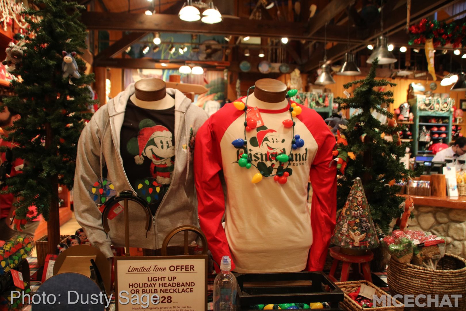 , Disneyland Resort Update – Tis The Season for Crowds and Construction