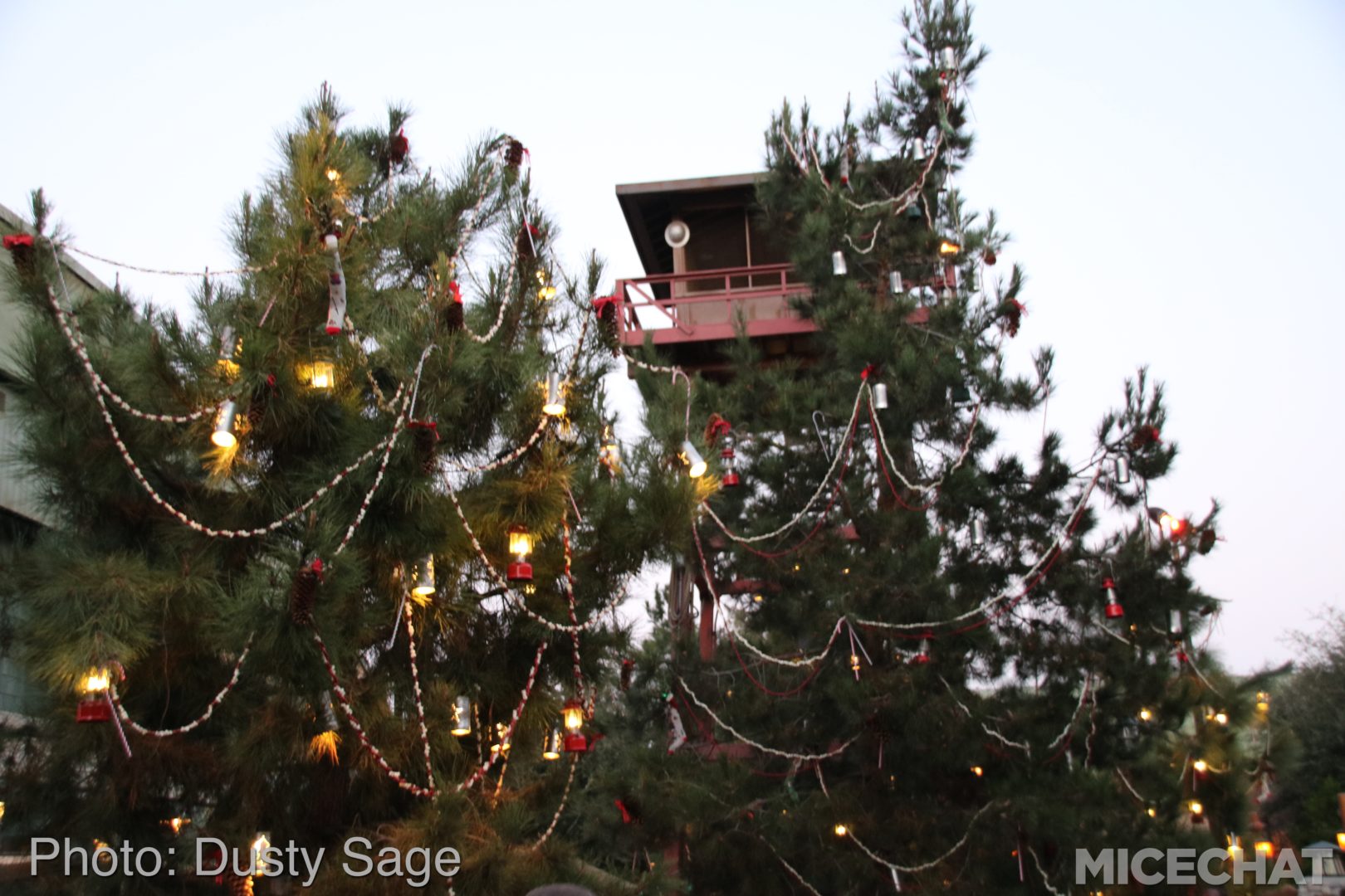 , Disneyland Resort Update – Tis The Season for Crowds and Construction