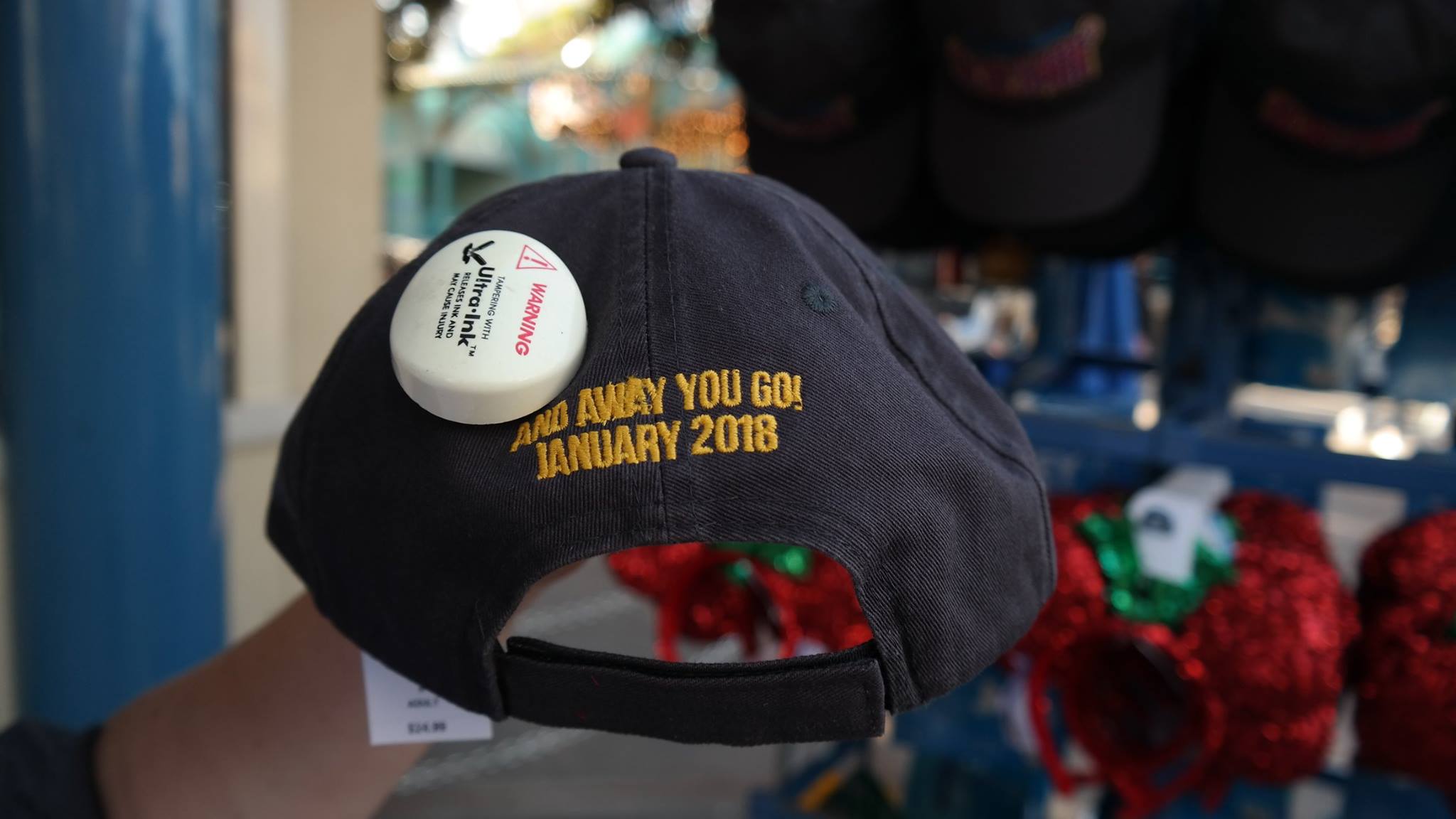 , Disneyland Resort Update – Tis The Season for Crowds and Construction
