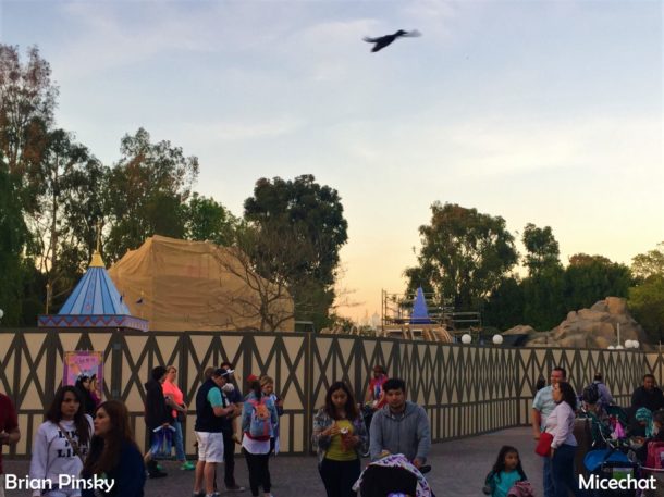 , Disneyland Resort Photo Update: Bug Off